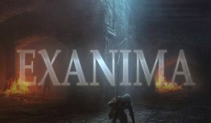 Exanima - une pépite entre Dark Souls et Octodad
