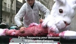 Happening à Paris pour dénoncer la production d'angora
