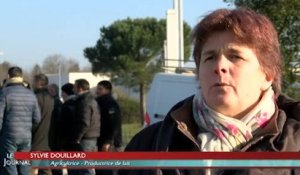 Vendée: les producteurs laitiers en colère contre les promos