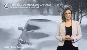 Tempête de neige au Canada : un blizzard à 120 km/h !