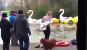 Une jeune femme sauve un chien tombé dans un lac gelé !