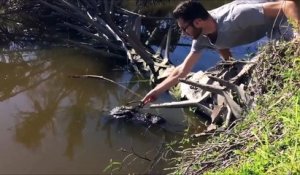 Défi : poser des lunettes sur un crocodile ! les fous...