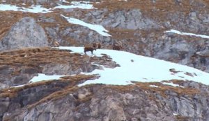 Destination montagnes : Pralognan la Vanoise