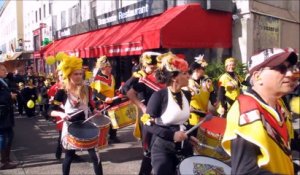 Carnaval dans les rues de Vienne - 24 février 2017