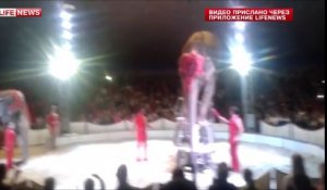 Un éléphant s'écroule en faisant le poirier lors d'un numéro risqué dans un cirque