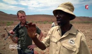 Sur la trace du rhinocéros noir en Namibie
