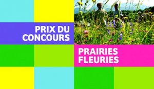 Stéphane Le Foll au concours des prairies fleuries