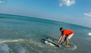 Il sauve un requin à mains nues sur une plage australienne