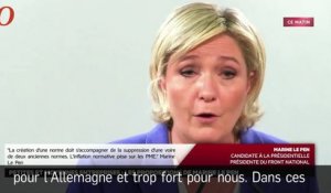Euro : Marine Le Pen n’est « pas là pour tout casser »