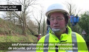 Tempête en Bretagne: chutes d'arbres et coupures d'électricité