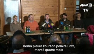 Berlin pleure l'ourson polaire Fritz, mort à quatre mois
