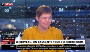 La 19ème édition de la Semaine du Cerveau se déroulera  du 13 au 19 mars 2018 dans 63 pays dont la France