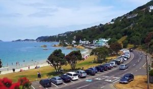 Wellington, la capitale de la Nouvelle-Zélande, recrute et offre le séjour aux postulants