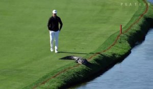 Quand un golfeur pousse un alligator qui s'invite sur le green d'un golf de Floride