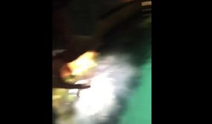 Un homme tombe dans une piscine remplit de requin