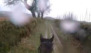 Un cheval se met à courir avec un cavalier pas assez expérimenté.