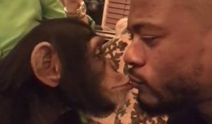 Quand Evra embrasse… un singe