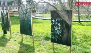 Abbaye de Daoulas. Eric Valli expose les chasseurs de miel et des ténèbres