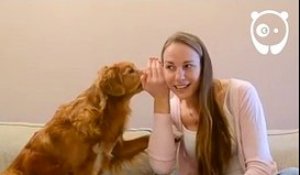 Incroyable : cette jeune femme discute avec son chien !