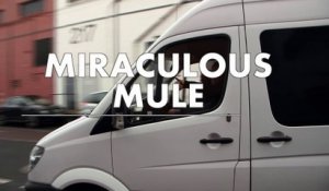 Miraculous Mule - Dans les backstages de l'Album De La Semaine | JACK