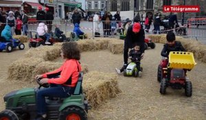 Saint-Brieuc. Une mini-ferme en ville