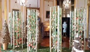 Plus de 6.000 amaryllis dans le Château de Beloeil: magique (épisode 2)