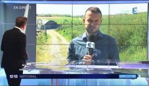 Vide sanitaire : les éleveurs du Gers très inquiets