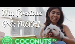 Erika & Maki, the shi-tzu from Metro Manila | My Precious Pet Episode 2 | Coconuts TV