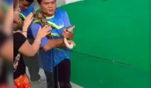 Cette jeune femme n'aurait pas dû s'approcher aussi près de ce serpent !