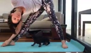 Faire du Yoga avec un bébé chien tout mignon !