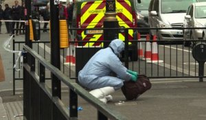 Londres: un homme armé arrêté près du Parlement