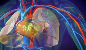 L'hypertension pulmonaire expliquée en vidéo