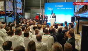 Hollande à Celtigel : "Une grande aventure comme le club de Guingamp"