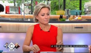 Raphaël Glucksman lance un appel dans "C à vous" pour se mobiliser contre Marine Le Pen - Vidéo