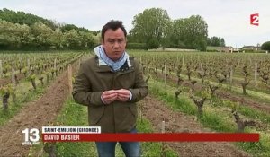 Alerte aux orages : les risques pour les vignobles du Bordelais