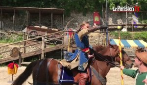 Rapaces et chevaliers : dans les coulisses des spectacles médiévaux à Provins