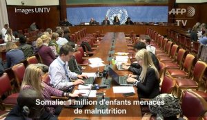 Somalie: 1 million d'enfants menacés de malnutrition (UNICEF)