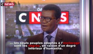 Tidiane N'Diaye : "pour dire noir, ils disent eabd... eabd veut dire esclave"