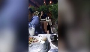 Ce chat a vraiment très faim !