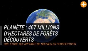 Planète : 467 millions d’hectares de forêts découverts