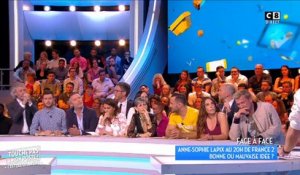 Gilles Verdez flingue Anne-Sophie Lapix dans "Touche pas à mon poste" sur C8 - Regardez