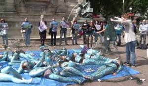 A Paris, action de militants vegan contre la surpêche