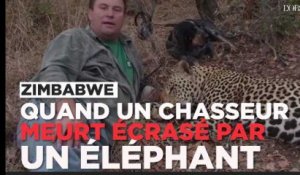 Un chasseur professionnel meurt écrasé par un éléphant