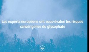 Scandale : les experts européens ont sous-évalué les risques cancérigènes du glysophate