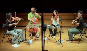 Franz Schubert : Quatuor à cordes n°7 en ré majeur D.94 - III Menuetto Allegretto par le Quatuor Kitgut