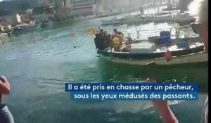 Var : un pêcheur surpris en plein braconnage dans un port