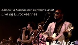 Amadou & Mariam feat. Bertrand Cantat -- Africa mon Afrique -- Live @ Eurockéennes