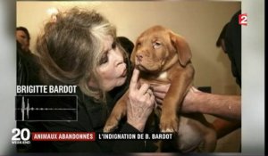 Animaux abandonnés : l'indignation de Brigitte Bardot