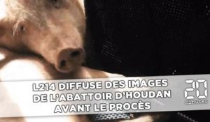 Yvelines: L214 diffuse des images de l'abattoir d'Houdan, avant un procès