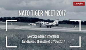 NATO Tiger Meet 2017 : exercice aérien interalliés